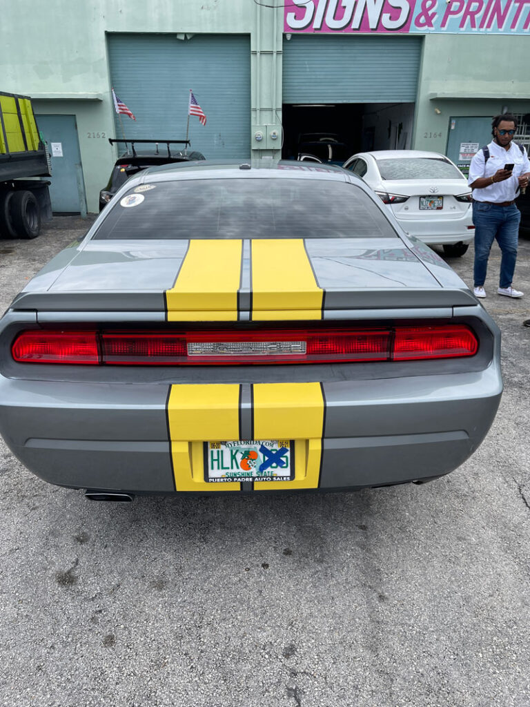 Dodge Charger Racing Stripes2