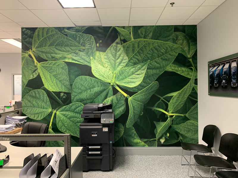 Wall Wrapping Green1